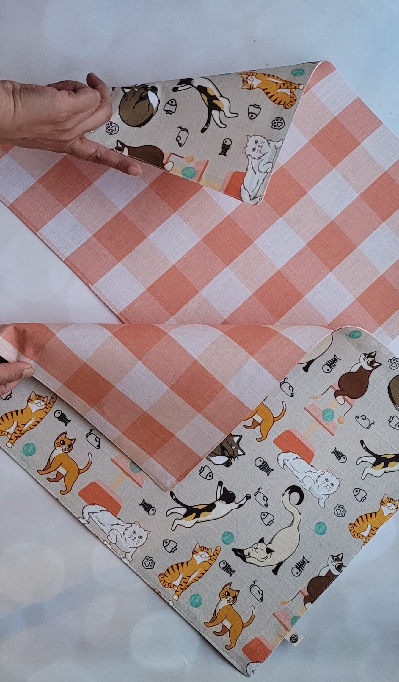 Kids Placemats - Purr (Cats)