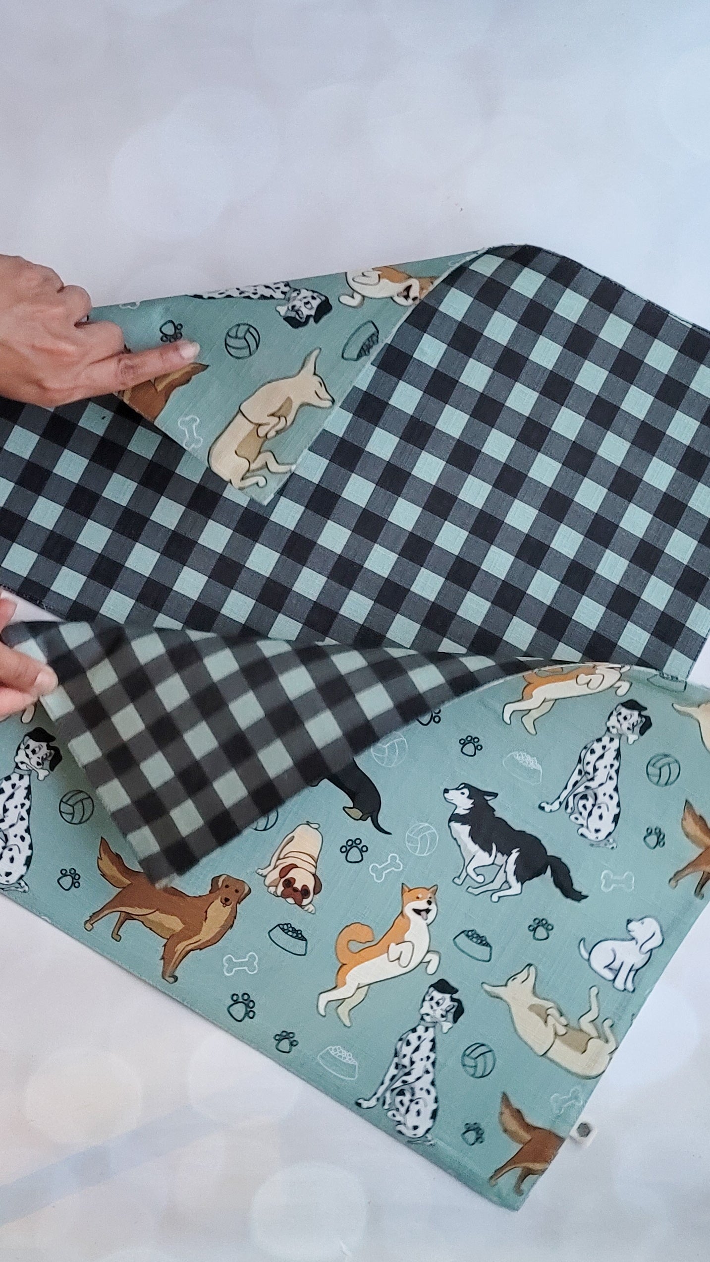 Kids Placemats - Woof (Dogs)